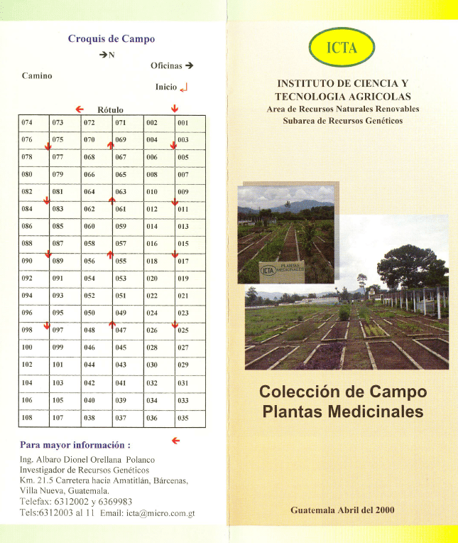 Colección de campo plantas medicinales (2000)